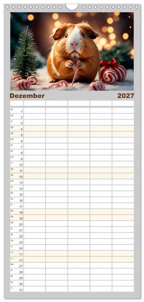 Produktbild: Familienplaner 2027 - Meerschweinchen mal anders! mit 5 Spalten (Wandkalender, 21 x 45 cm) CALVENDO