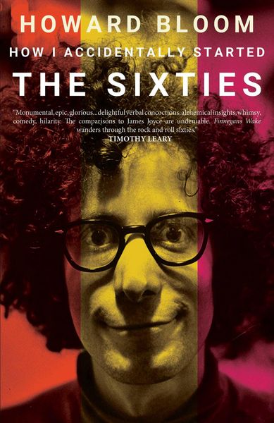 Produktbild: How I Accidentally Started The Sixties