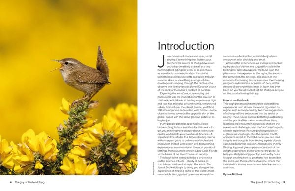 Produktbild: Lonely Planet The Joy of Birdwatching