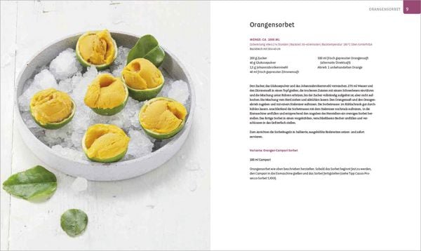 Produktbild: Die Eis-Bibel