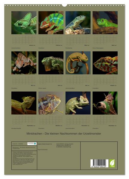 Produktbild: Minidrachen - Die kleinen Nachkommen der Urzeitmonster (hochwertiger Premium Wandkalender 2026 DIN A2 hoch), Kunstdruck in Hochglanz