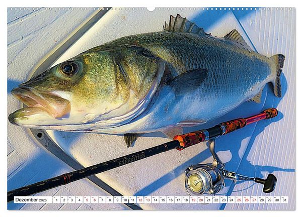 Produktbild: Anglergl&uuml;ck - den Fisch am Haken (Wandkalender 2026 DIN A2 quer), CALVENDO Monatskalender