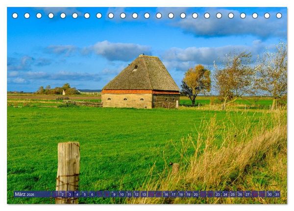 Produktbild: Ein Blick auf die Insel Texel (Tischkalender 2026 DIN A5 quer), CALVENDO Monatskalender