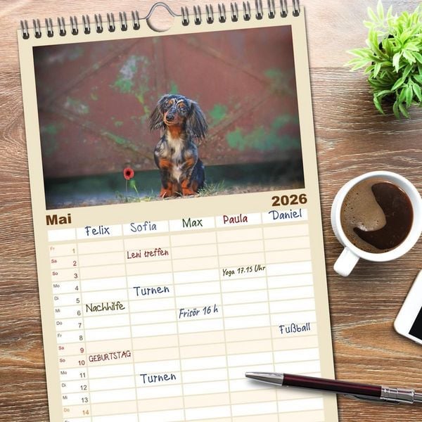Produktbild: Familienplaner 2026 - Der Dackel mit 5 Spalten (Wandkalender, 21 x 45 cm) CALVENDO