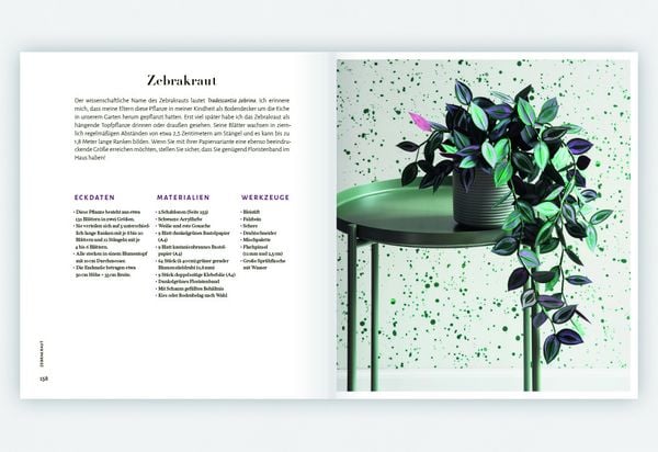 Produktbild: Zimmerpflanzen aus der Papierwerkstatt