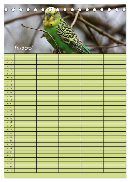 Produktbild: Der Wellensittich-Familienplaner (Tischkalender 2026 DIN A5 hoch), CALVENDO Monatskalender