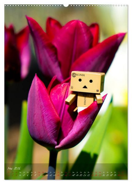 Produktbild: Ein Jahr voller Danbo (Wandkalender 2026 DIN A2 hoch), CALVENDO Monatskalender