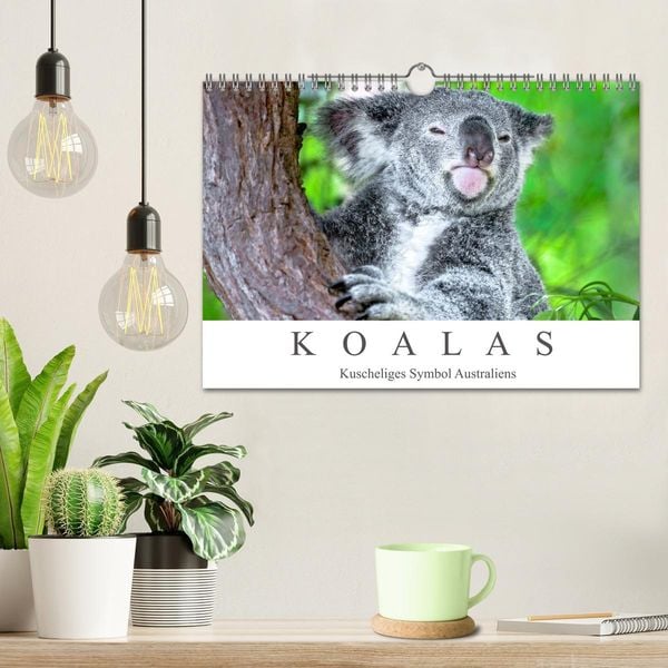 Produktbild: Koalas - Kuscheliges Symbol Australiens (Wandkalender 2026 DIN A4 quer), CALVENDO Monatskalender