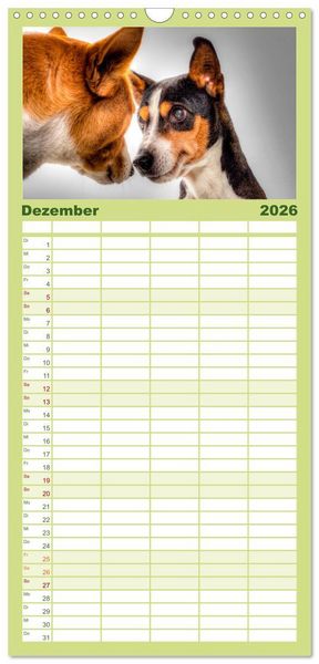 Produktbild: Familienplaner 2026 - Lustig und verr&uuml;ckt - der ganz andere Tierkalender mit 5 Spalten (Wandkalender, 21 x 45 cm) CALVENDO