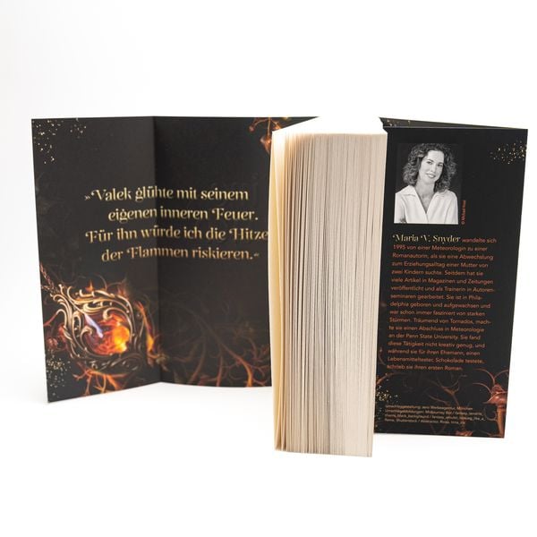 Produktbild: Fire Study