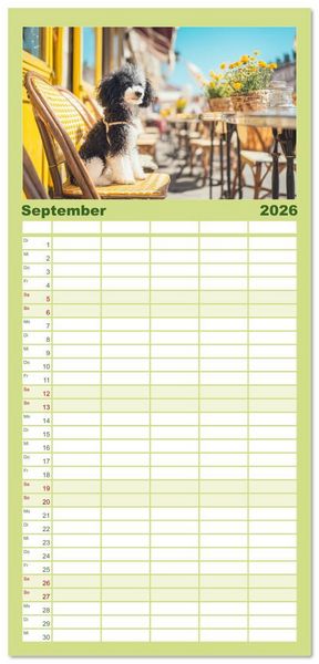 Produktbild: Familienplaner 2026 - Pudel in der Stadt. Urbane Momente voller Charme und Lebensfreude mit 5 Spalten (Wandkalender, 21 x 45 cm) CALVENDO