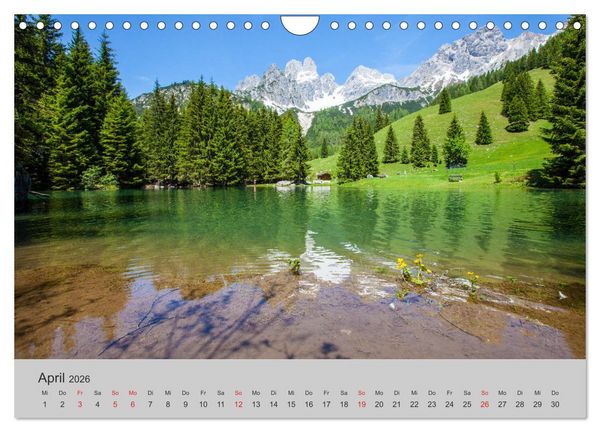 Produktbild: Komm, ich zeige dir den Wald (Wandkalender 2026 DIN A4 quer), CALVENDO Monatskalender