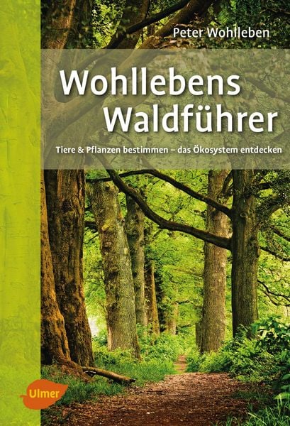 Produktbild: Wohllebens Waldf&uuml;hrer