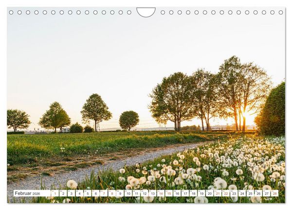 Produktbild: K&ouml;ln Widdersdorf - Bl&uuml;tentr&auml;ume und l&auml;ndliche Idylle (Wandkalender 2026 DIN A4 quer), CALVENDO Monatskalender