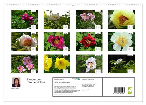 Produktbild: Zauber der P&auml;onien-Bl&uuml;te (hochwertiger Premium Wandkalender 2026 DIN A2 quer), Kunstdruck in Hochglanz