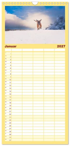 Produktbild: Familienplaner 2027 - Deutscher Boxer mit 5 Spalten (Wandkalender, 21 x 45 cm) CALVENDO