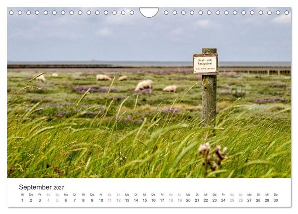 Produktbild: Hamburger Hallig - Der Weg ist das Ziel (Wandkalender 2027 DIN A4 quer), CALVENDO Monatskalender