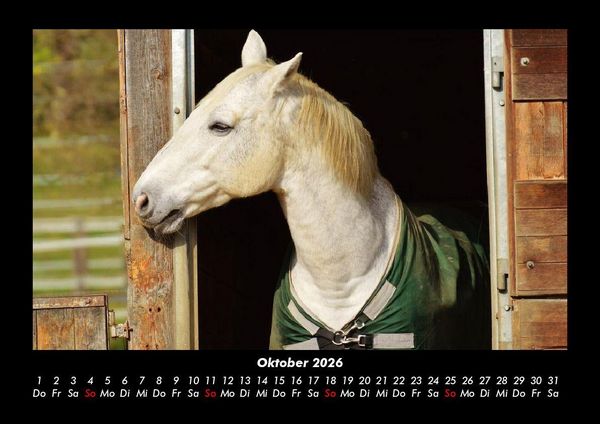 Produktbild: Die Welt der Pferde 2026 Fotokalender DIN A3