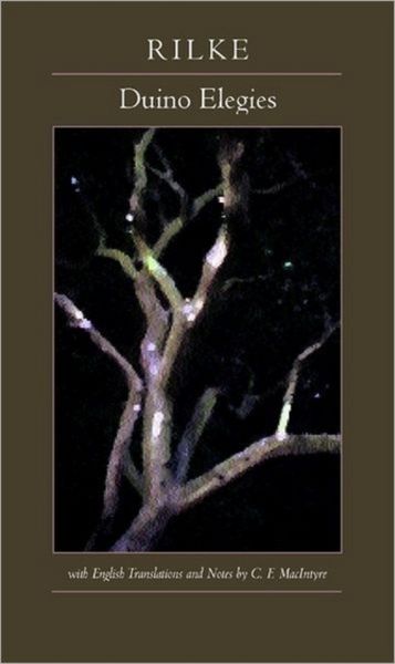 Produktbild: Duino Elegies