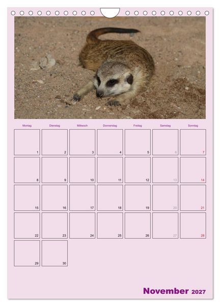 Produktbild: Erdm&auml;nnchen / Terminplaner (Wandkalender 2027 DIN A4 hoch), CALVENDO Monatskalender