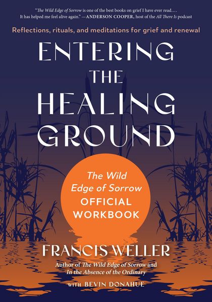 Produktbild: Entering the Healing Ground