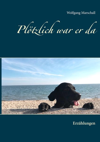 Produktbild: Pl&ouml;tzlich war er da