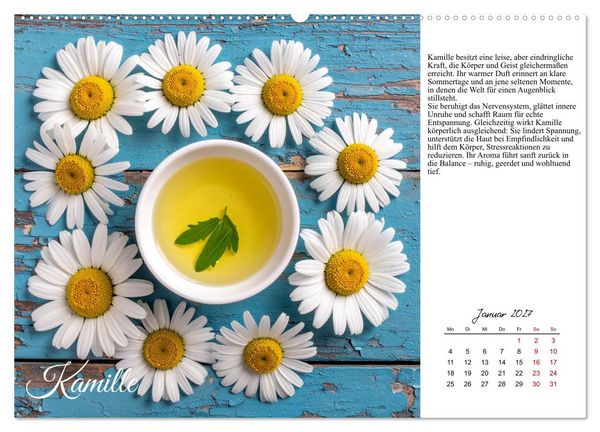 Produktbild: Heilsame Aroma&ouml;le (hochwertiger Premium Wandkalender 2027 DIN A2 quer), Kunstdruck in Hochglanz