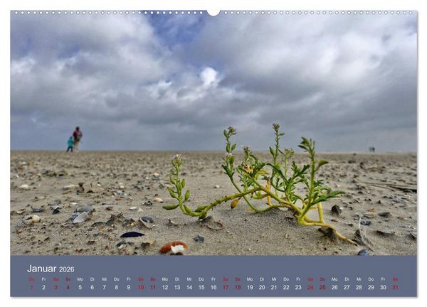Produktbild: Norderney - Meine Trauminsel (hochwertiger Premium Wandkalender 2026 DIN A2 quer), Kunstdruck in Hochglanz