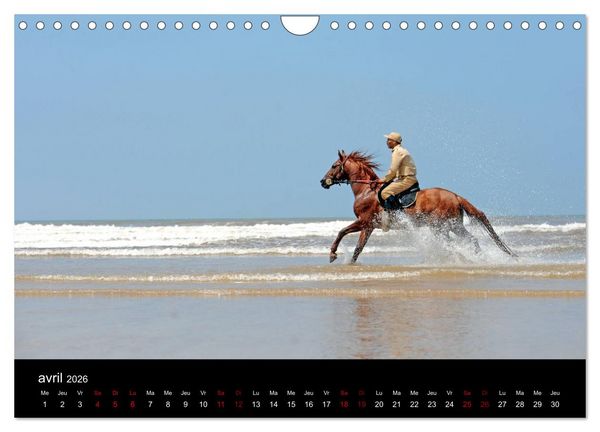 Produktbild: Les chevaux du Maroc (Calendrier mural 2026 DIN A4 vertical), CALVENDO calendrier mensuel