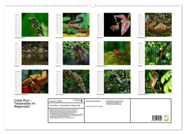 Produktbild: Costa Rica - Tierparadies im Regenwald (Wandkalender 2027 DIN A2 quer), CALVENDO Monatskalender
