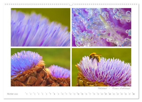Produktbild: Rêves de Bretagne - Breizh (Calendrier mural 2026 DIN A2 vertical), CALVENDO calendrier mensuel