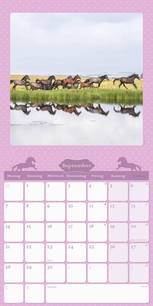 Mein Pferdekalender 2026 - Broschürenkalender 30x30 cm (30x60 geöffnet) - Kalender mit Platz für Notizen - Bildkalender - Wandplaner - Wandkalender