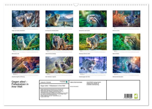 Produktbild: Gegen alles! - Pallaskatzen in ihrer Welt (Wandkalender 2027 DIN A2 quer), CALVENDO Monatskalender