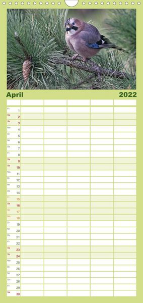 Produktbild: Familienplaner Heimische Gartenv&ouml;gel (Wandkalender 2022 , 21 cm x 45 cm, hoch)