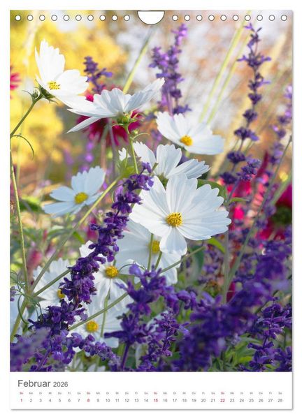 Produktbild: Bunter Sommer (Wandkalender 2026 DIN A4 hoch), CALVENDO Monatskalender