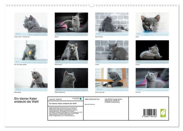 Produktbild: Ein kleiner Kater entdeckt die Welt! (hochwertiger Premium Wandkalender 2026 DIN A2 quer), Kunstdruck in Hochglanz