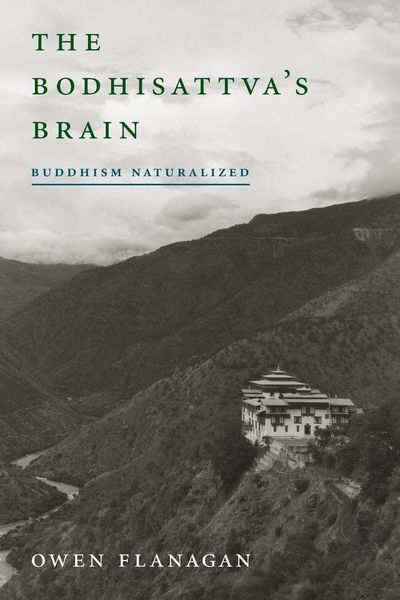Produktbild: The Bodhisattva's Brain