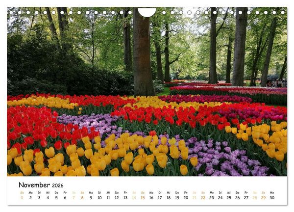 Produktbild: Auf Tour im Land der Tulpen (Wandkalender 2026 DIN A4 quer), CALVENDO Monatskalender