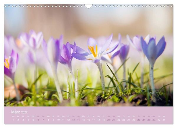Produktbild: Zeitenwandel - Ein Jahr in der Natur (Wandkalender 2027 DIN A3 quer), CALVENDO Monatskalender