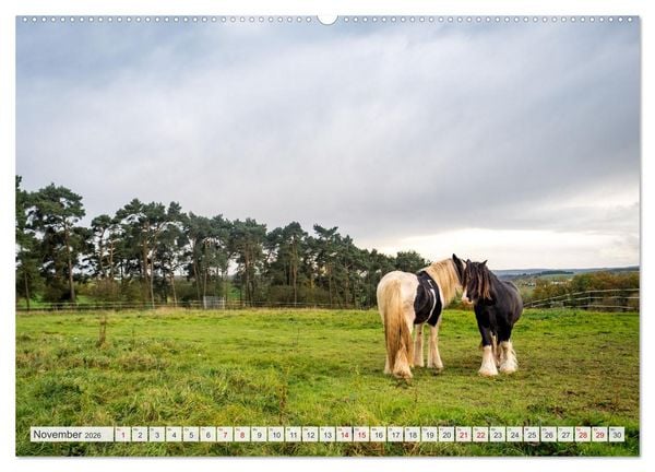 Produktbild: Nationalpark Eifel - Sch&ouml;ne Tage im Gr&uuml;nen (hochwertiger Premium Wandkalender 2026 DIN A2 quer), Kunstdruck in Hochglanz
