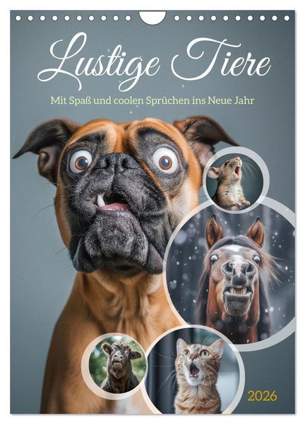 Produktbild: Lustige Tiere (Wandkalender 2026 DIN A4 hoch), CALVENDO Monatskalender