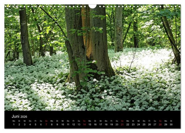 Produktbild: Himmel &uuml;ber Rheinhessen (Wandkalender 2026 DIN A3 quer), CALVENDO Monatskalender