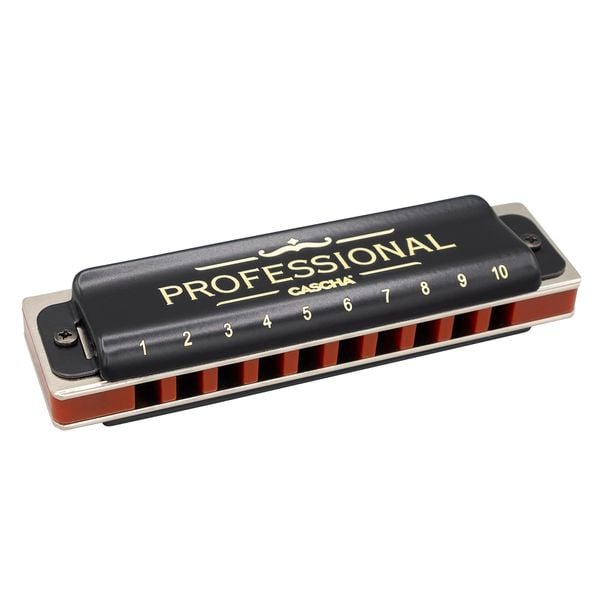 Produktbild: Professional Blues Harmonica in C (incl. case and cleaning cloth)