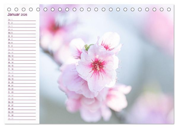 Produktbild: Wenn im Fr&uuml;hling die Natur wieder erwacht (Tischkalender 2026 DIN A5 quer), CALVENDO Monatskalender