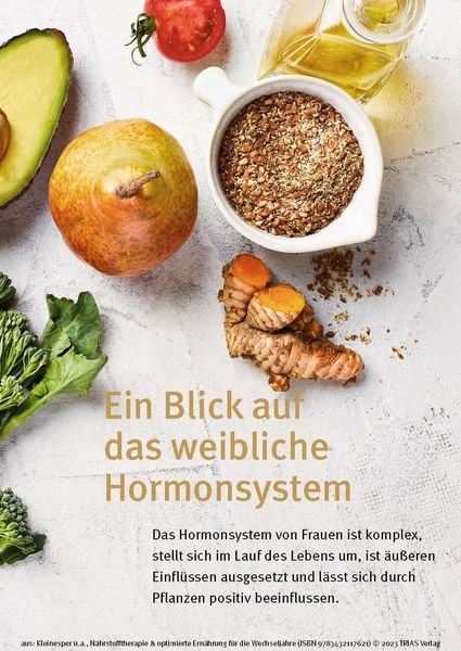 Nährstofftherapie & optimierte Ernährung für die Wechseljahre