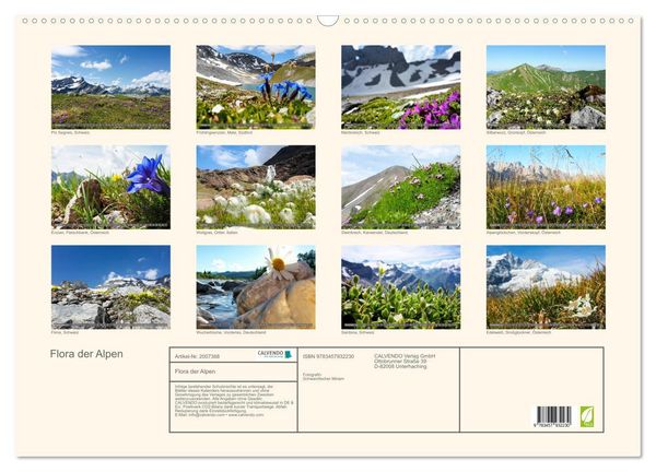 Produktbild: Flora der Alpen (Wandkalender 2026 DIN A2 quer), CALVENDO Monatskalender