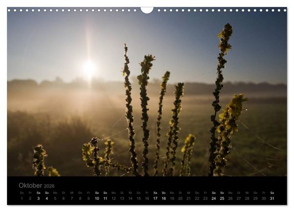 Produktbild: Natur im Detail (Wandkalender 2026 DIN A3 quer), CALVENDO Monatskalender