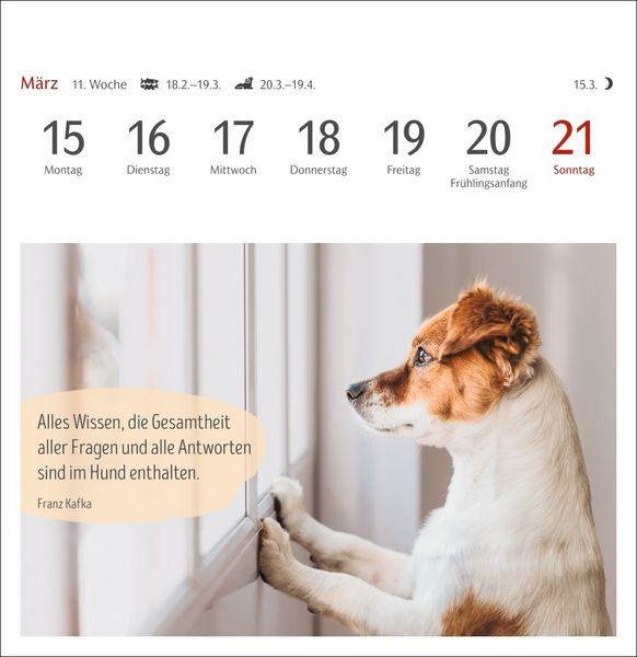 Produktbild: Hunde Premium-Postkartenkalender 2027 - Freunde auf vier Pfoten; Kalender mit 53 Postkarten