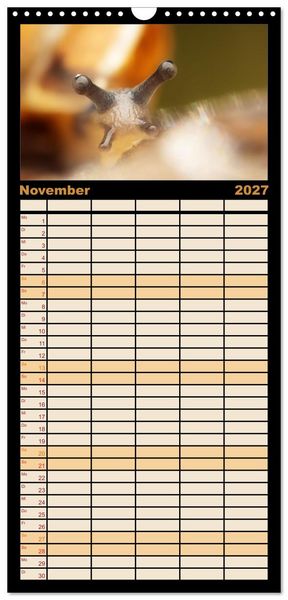 Produktbild: Familienplaner 2027 - Verborgene Wunder mit 5 Spalten (Wandkalender, 21 x 45 cm) CALVENDO