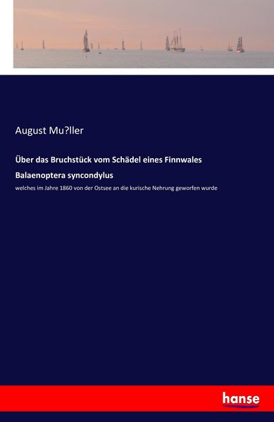 Produktbild: &Uuml;ber das Bruchst&uuml;ck vom Sch&auml;del eines Finnwales Balaenoptera syncondylus